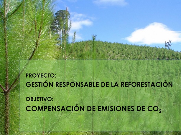 Proyecto: gestión responsable de la reforestación y compensación de CO2